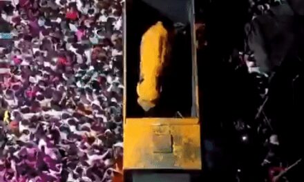 हथिनी माधुरी की 13 महीने बाद नंदनी मठ में वापसी:कोल्हापुर में हुआ भव्य स्वागत, हजारों लोगों ने फूलों की बारिश की