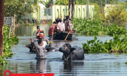 यूपी के 26 जिलों में बाढ़:MP के 15 जिले अलर्ट पर, मंदाकिनी का जलस्तर बढ़ा; बिहार में बाढ़ से 44 लाख लोग प्रभावित