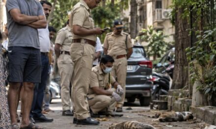 मुंबई में 20 बिल्लियों को मारने वाला आरोपी गिरफ्तार:गुस्से में की थी हत्या; ₹50 हजार का इनाम रखा गया था