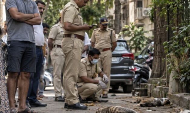 मुंबई में 20 बिल्लियों को मारने वाला आरोपी गिरफ्तार:गुस्से में की थी हत्या; ₹50 हजार का इनाम रखा गया था