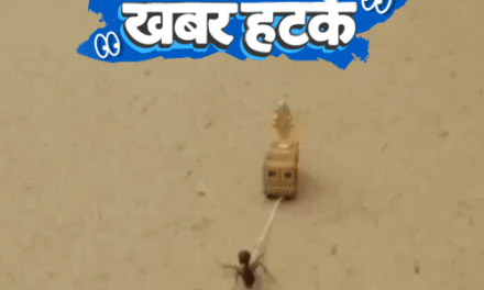 खबर हटके