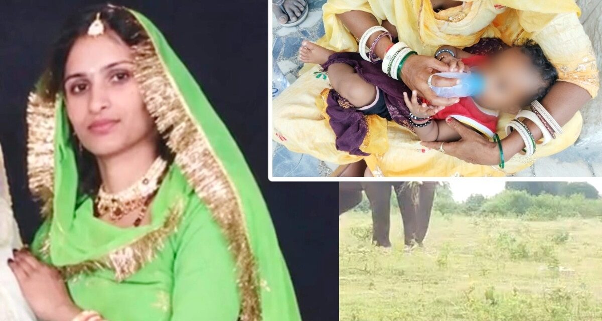 मासूम बेटे को छांव में सुलाकर, रोते हुए ट्रेन के आगे कूद गई मां और…