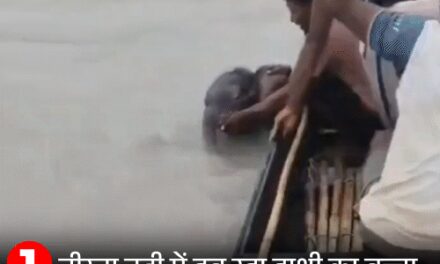 जान बचाने वाले शख्स से लिपटा हाथी का बच्चा:बंगाल में मछुआरों ने 4km पीछा करके बचाया, तेज बहाव में डूब रहा था
