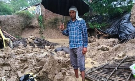 बारिश बनी आफत: पेड़ गिरा तो मलबे में दबी लड़की की मौत, 6 लोग घायल
