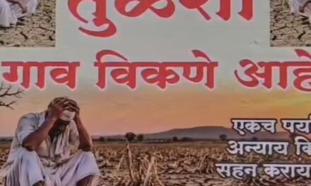 गांव बेचना है, कीमत