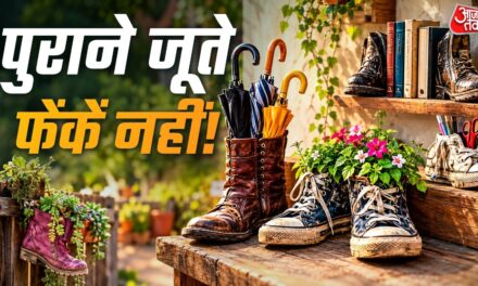 सफाई में निकले पुराने जूते? फेंकने से पहले जानेें 5 कमाल के इस्तेमाल