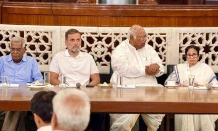 'राष्ट्रपति ने वोट चोरी का खंडन नहीं किया, हमसे सबूत मांगे', मुलाकात के बाद बोले राहुल गांधी