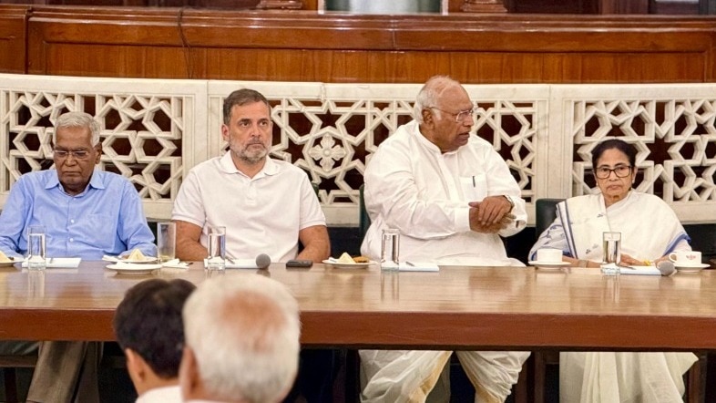 'राष्ट्रपति ने वोट चोरी का खंडन नहीं किया, हमसे सबूत मांगे', मुलाकात के बाद बोले राहुल गांधी