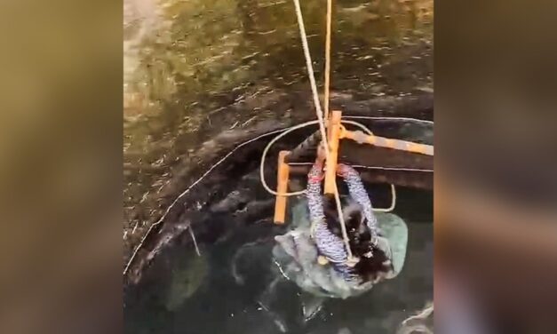पत्नी कुएं में कूदी तो पति ने मांगी माफी, तब बाहर आई महिला, देखें