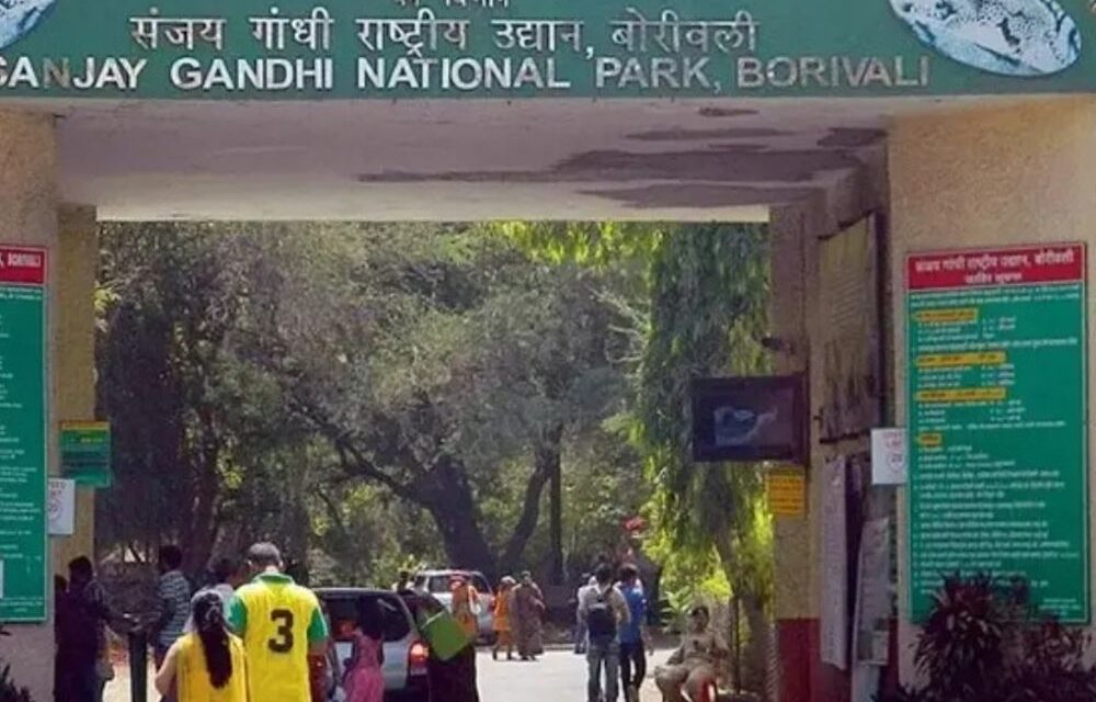 भास्कर अपडेट्स:मुंबई के संजय गांधी नेशनल पार्क में फायरिंग; एक की मौत, कई घायल