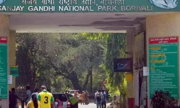 भास्कर अपडेट्स:मुंबई के संजय गांधी नेशनल पार्क में फायरिंग; एक की मौत, कई घायल