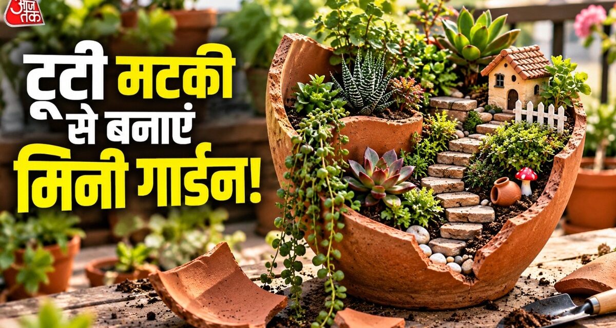 टूटी मटकी से ऐसे बनाएं खूबसूरत मिनी गार्डन, सस्ते में होगा तैयार