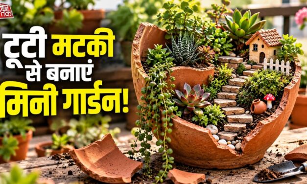 टूटी मटकी से ऐसे बनाएं खूबसूरत मिनी गार्डन, सस्ते में होगा तैयार