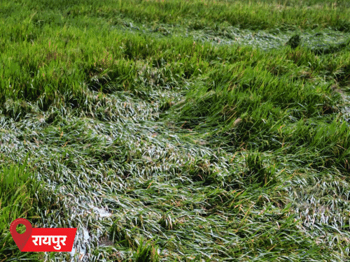 ओडिशा के 3 जिलों में बाढ़, 62 हजार लोग फंसे:चक्रवात अर्नब का असर, MP-UP और राजस्थान में आंधी-बारिश; 14 राज्यों में ऑरेंज अलर्ट
